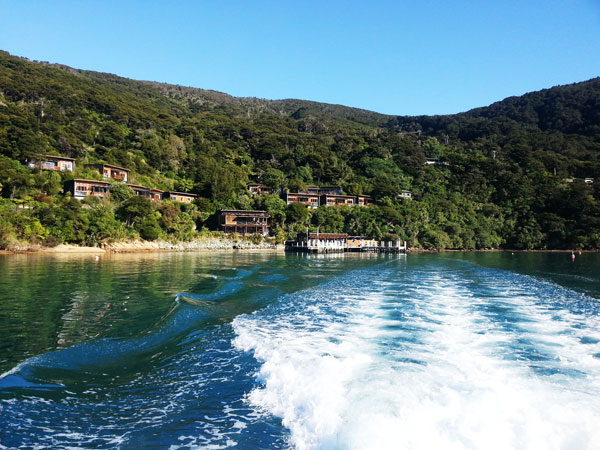 Bay of Many Coves, Marlborough Sounds, New Zealand